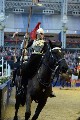 Cavalry - 00208